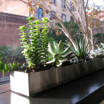 The Indoor Garden