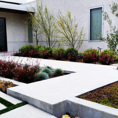 Photo of a mid-sized modern full sun front yard concrete paver landscaping in Los Angeles for summer.