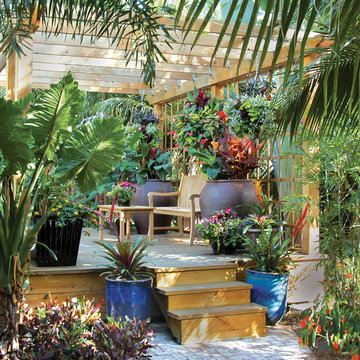 The Pool Garden