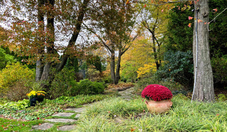 4 Elements of a Stunning Fall Garden