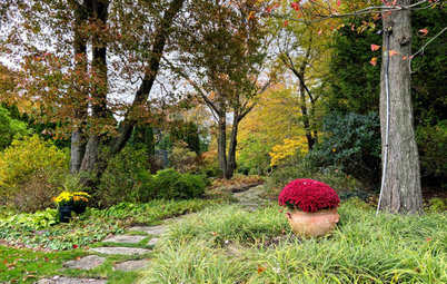 4 Elements of a Stunning Fall Garden