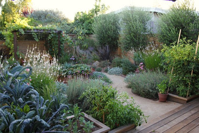 Diseño de camino de jardín tradicional de tamaño medio en patio trasero con exposición parcial al sol y gravilla