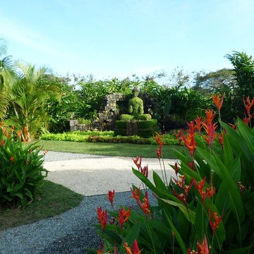 The Tropical Maze