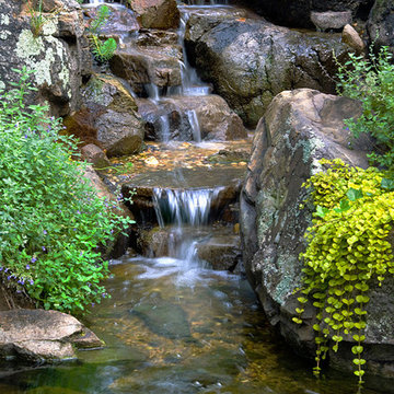 The waterfall garden