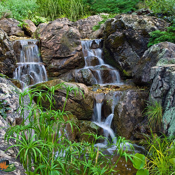 The waterfall garden