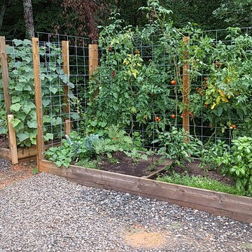 These raised bed gardens provide a lot of healthy food in a small space.