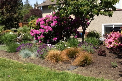 Inspiration for a mid-sized craftsman drought-tolerant and full sun front yard mulch landscaping in Other.