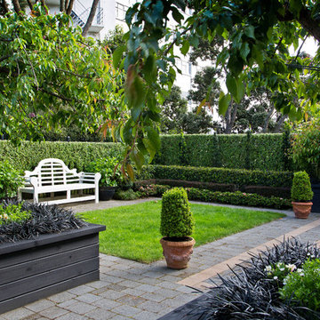Thorndon - A Garden Apartment in the City