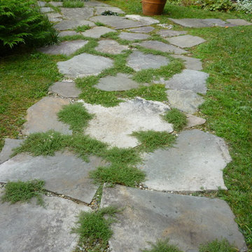 Thyme-filled walkway from drive to kitchen entrance