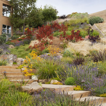 Arterra Landscape Architects Houzz, Blooming Valley Landscape Architects