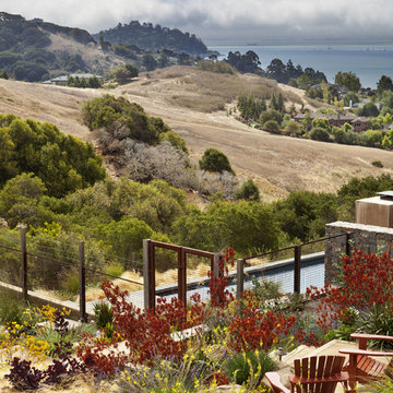 Tiburon Hillside