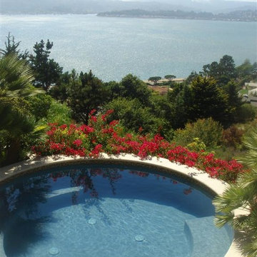 Tiburon Terraced Garden