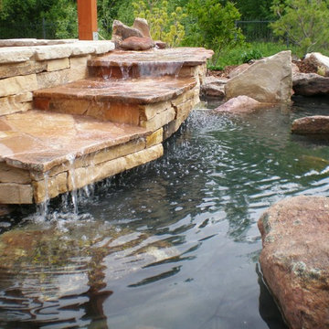 Tiered Waterfall and Turtle Pond