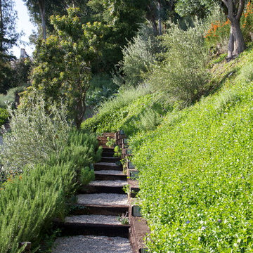 Tigertail Road, Brentwood, California