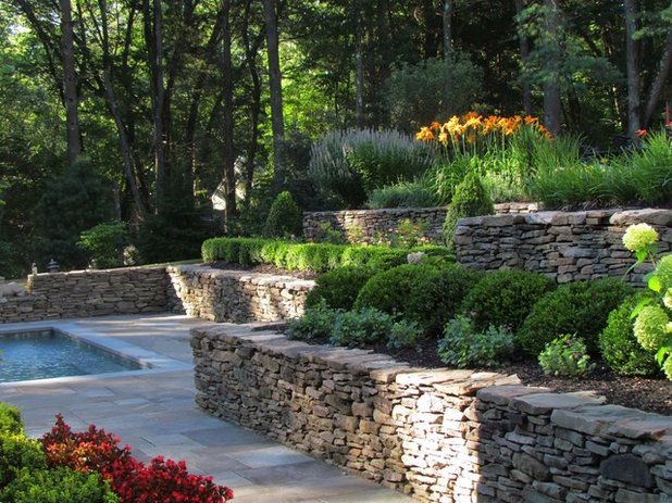 Traditional Landscape by Harmony Design Group