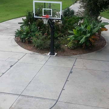 timothy c's Pro Dunk Platinum Basketball System on a 43x46 in cocoa, FL