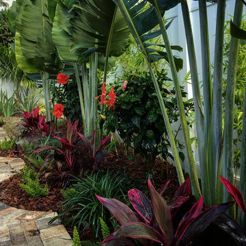 Tina's Tropical Traditional Paradise Front & Back Yard Makeover