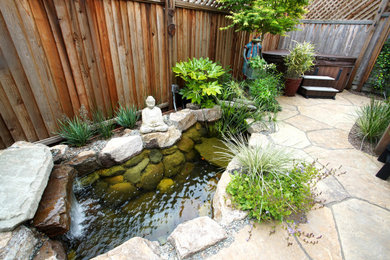 Design ideas for a small world-inspired side xeriscape partial sun garden in San Francisco with a pond and natural stone paving.