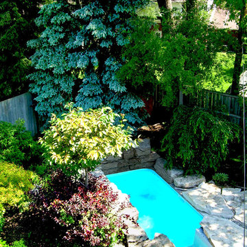 Tiny Pool and Mature Dream Gardens