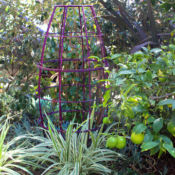 Toki Bubble Trellis functional garden sculpture