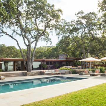 Top of the Hill Contemporary
