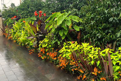 バンクーバーにあるトラディショナルスタイルのおしゃれな庭の写真