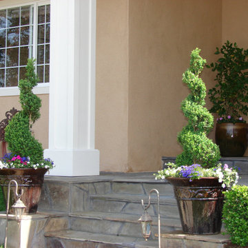 Topiary in Ceramic Planters at Entry