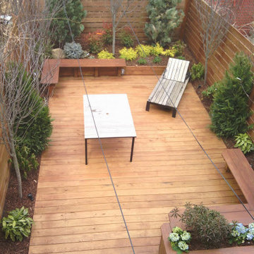 Town House Landscape Design and Renovation