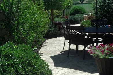 This is an example of a transitional landscaping in Sacramento.