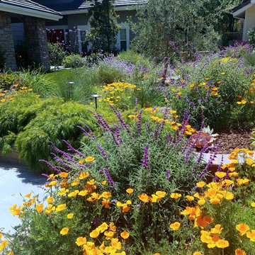 Tradition to Transitional Landscape Designs
