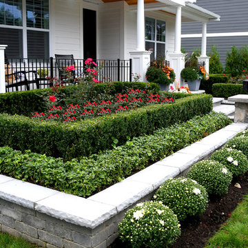 Traditional downtown front yard landscape