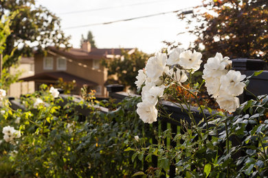 Inspiration for a mid-sized traditional front yard landscaping in San Francisco.
