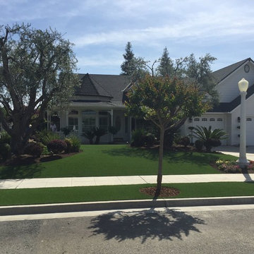 Traditional Front Yard in Central California
