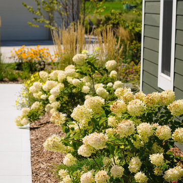 Traditional Front Yard Landscape - Cedarburg