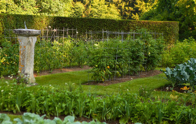 Jardinage : 10 erreurs à éviter en octobre