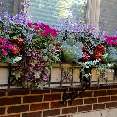 Photo of a mid-sized traditional full sun backyard landscaping in Chicago for fall.