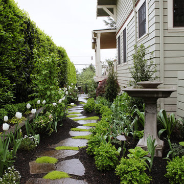 Sedums Between Pavers - Photos & Ideas | Houzz