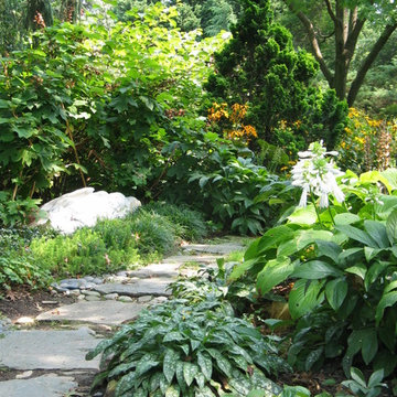 Tranquil Takoma Garden - Private Residence