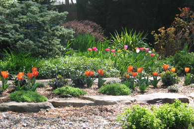 Design ideas for a rustic landscaping in DC Metro.