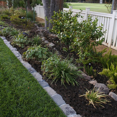 Inspiration for a large farmhouse backyard landscaping in San Francisco.