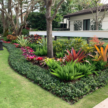 Transitional Tropical Landscaping