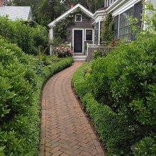 Backyard walkway