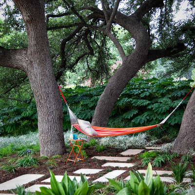 Inspiration for a contemporary drought-tolerant backyard landscaping in Austin.