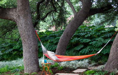 8 Essential Native Shade Trees for the U.S. Southeast