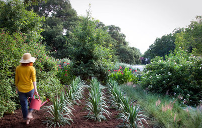 Essential Watering Tips for Your Edible Garden