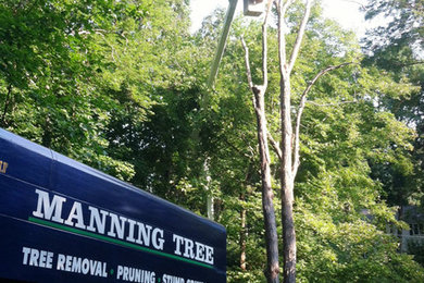 Tree Removal in Lexington, MA