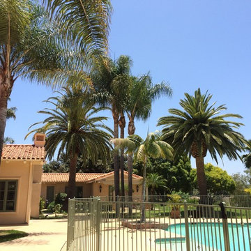 Tree Trimming and Removals - Rancho Santa Fe, CA 92067