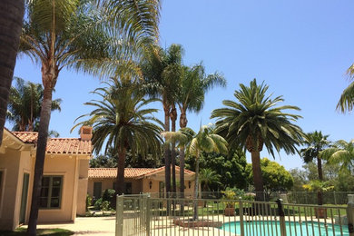 This is an example of a tropical landscaping in San Diego.