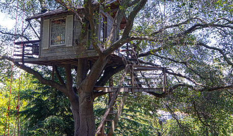 My Houzz: A Beautifully Tranquil Tiny Sleep Space in a Tree
