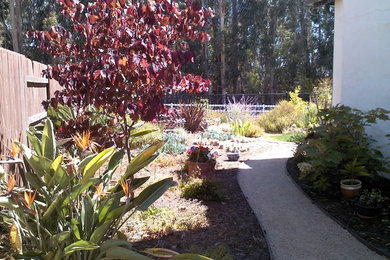 Imagen de camino de jardín mediterráneo en patio lateral con exposición parcial al sol y mantillo